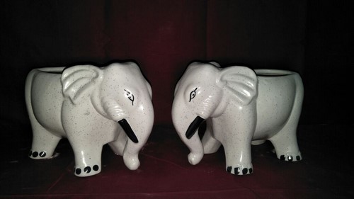 Elephant big add