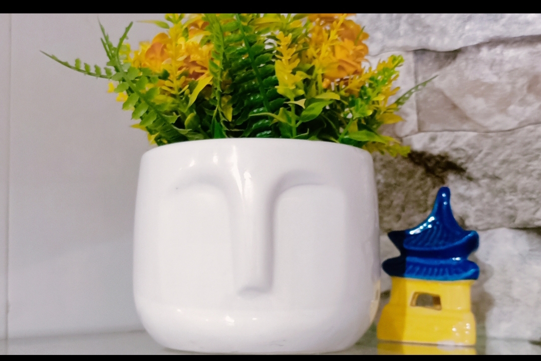 Nose pot