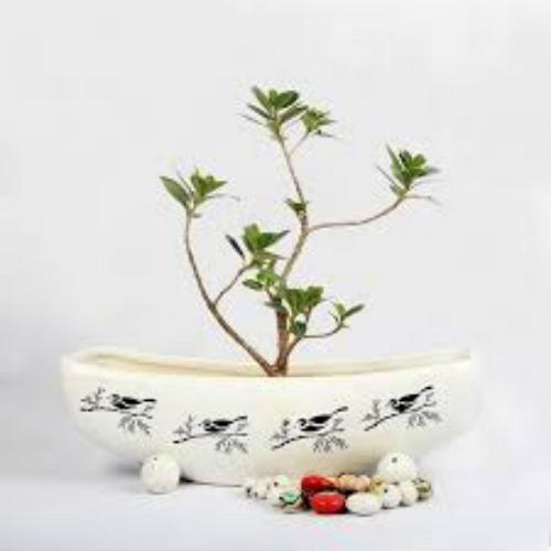 Bluetone Ceramics